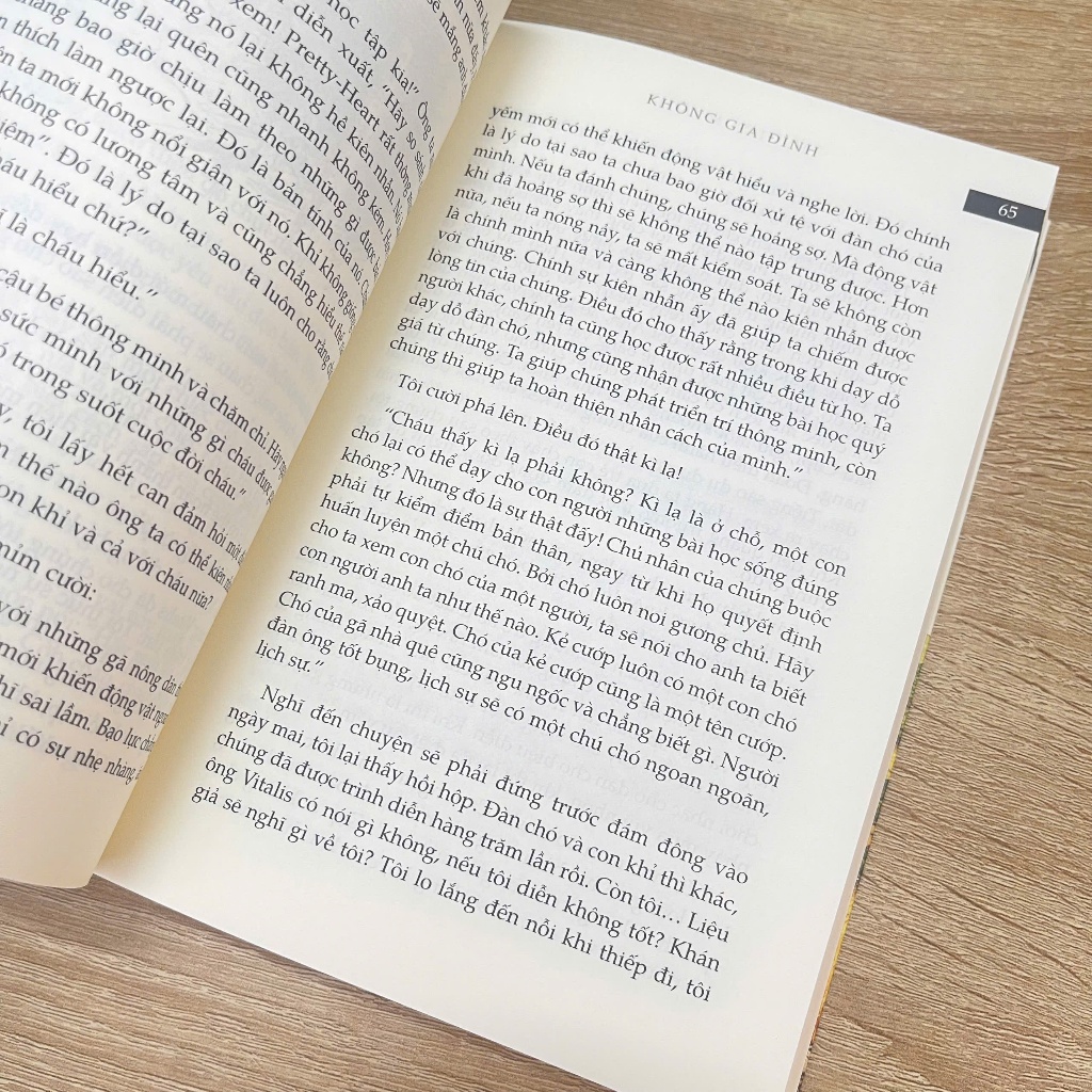 Viet Thư Books