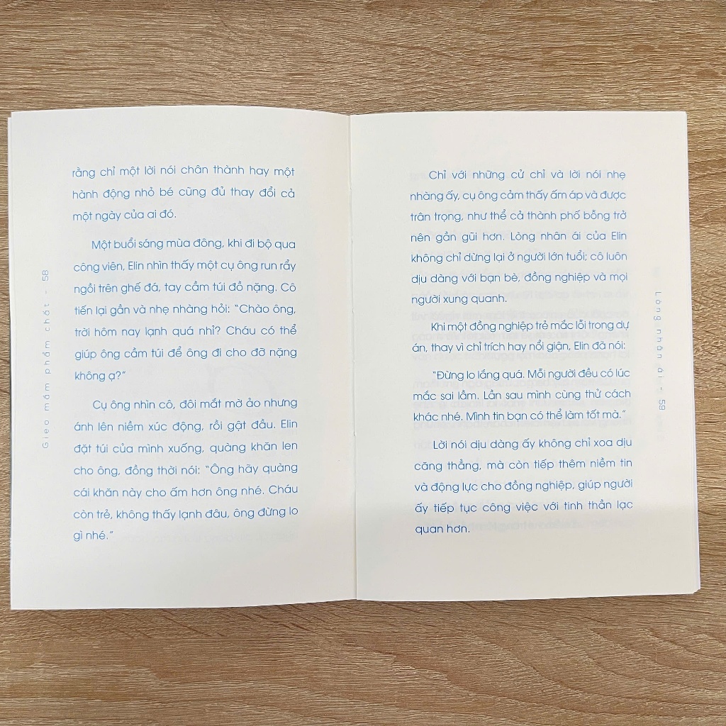 Viet Thư Books